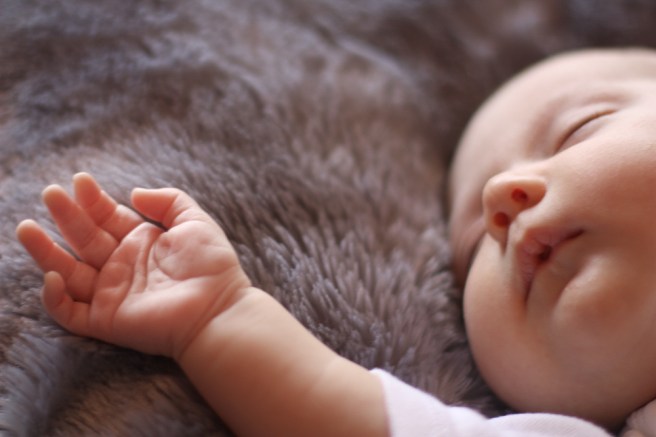 sailorbabyparts2016 _-3