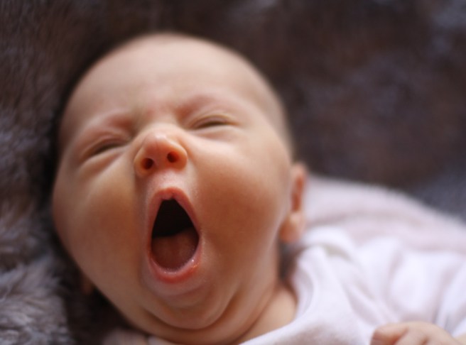 sailorbabyparts2016 _-9