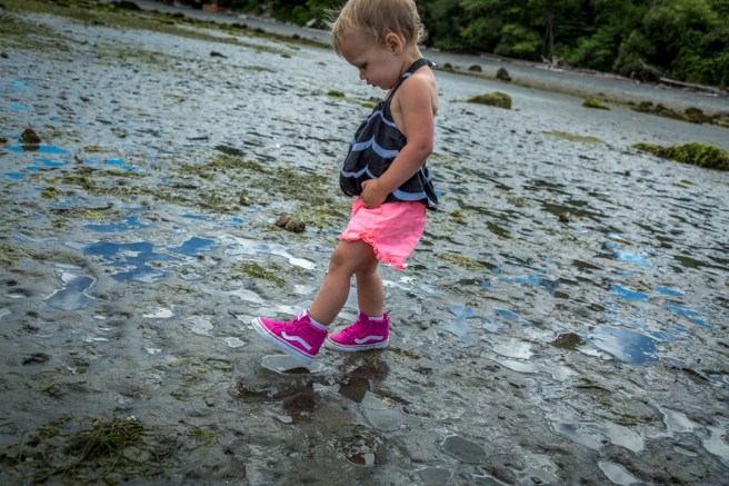 4X1A0112july4thbeach