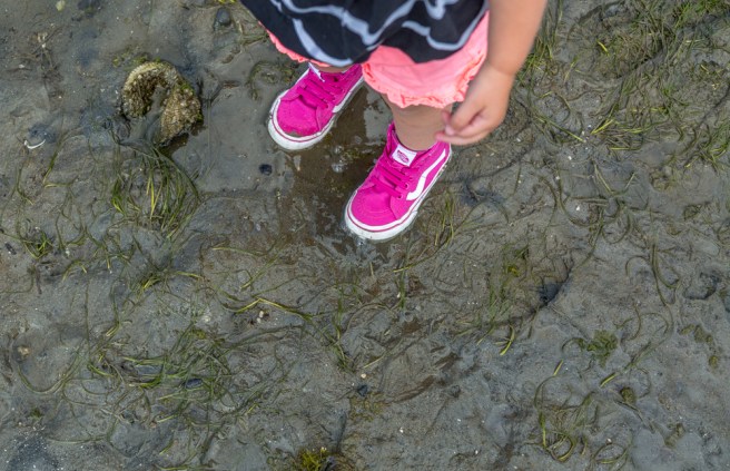 4X1A0133july4thbeach