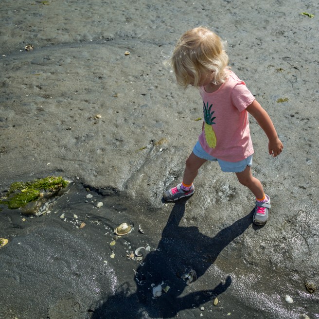 4X1A0341july4thbeach