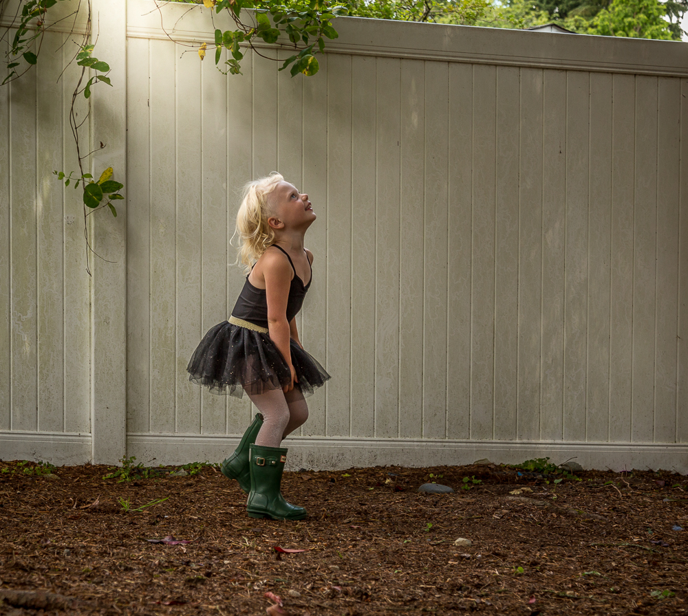 4X1A0534shipley.light-2