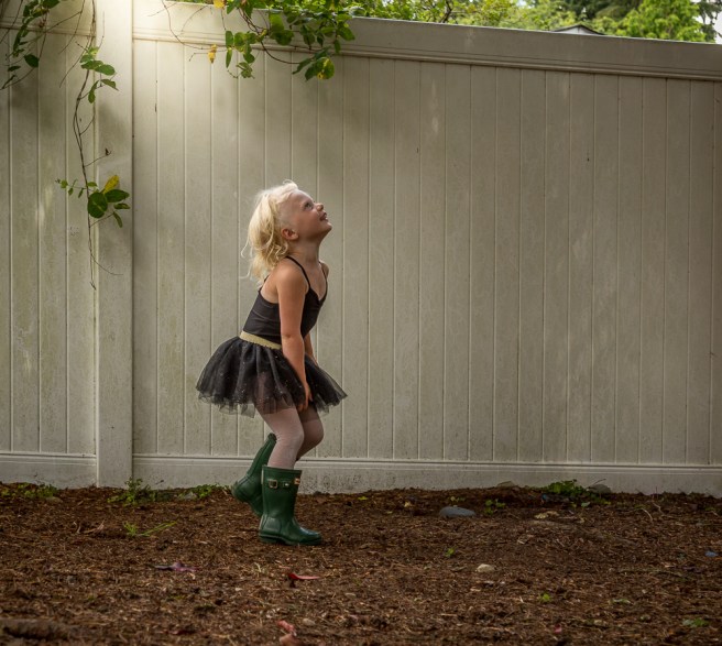 4X1A0534shipley.light-2