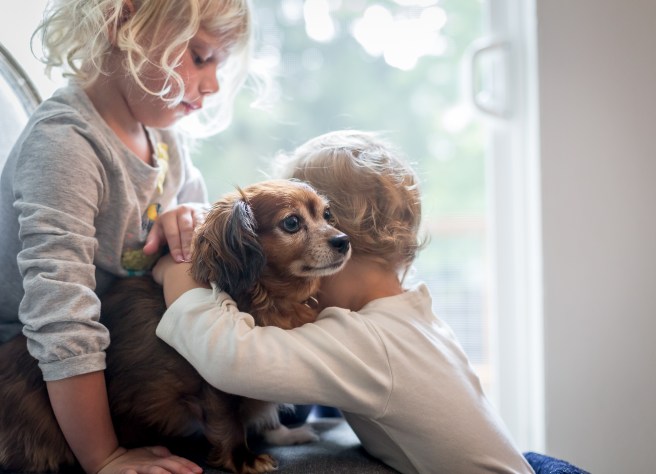 shipsailnellie-3601-2