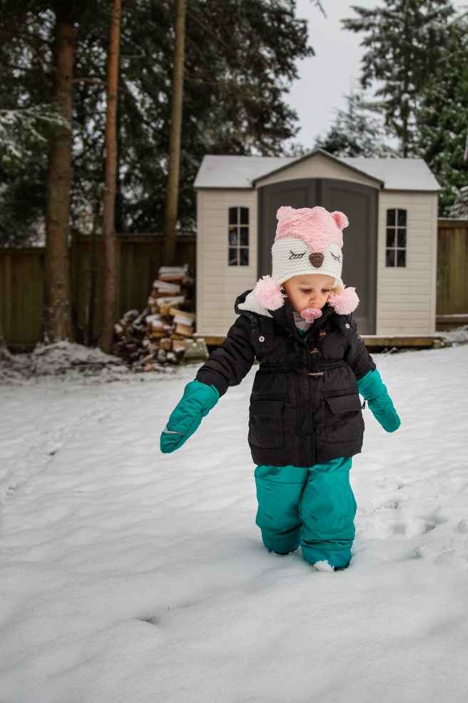 shipsailsnow-7569-2-1