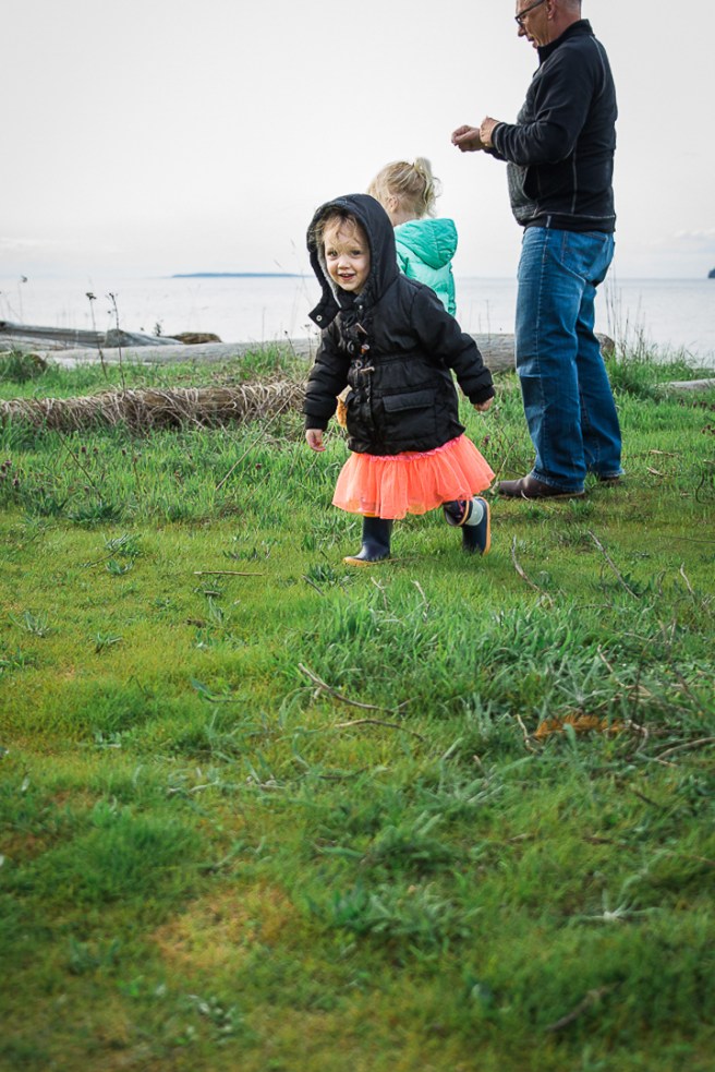 kite at the beachkiteatthebeach4X1A3238