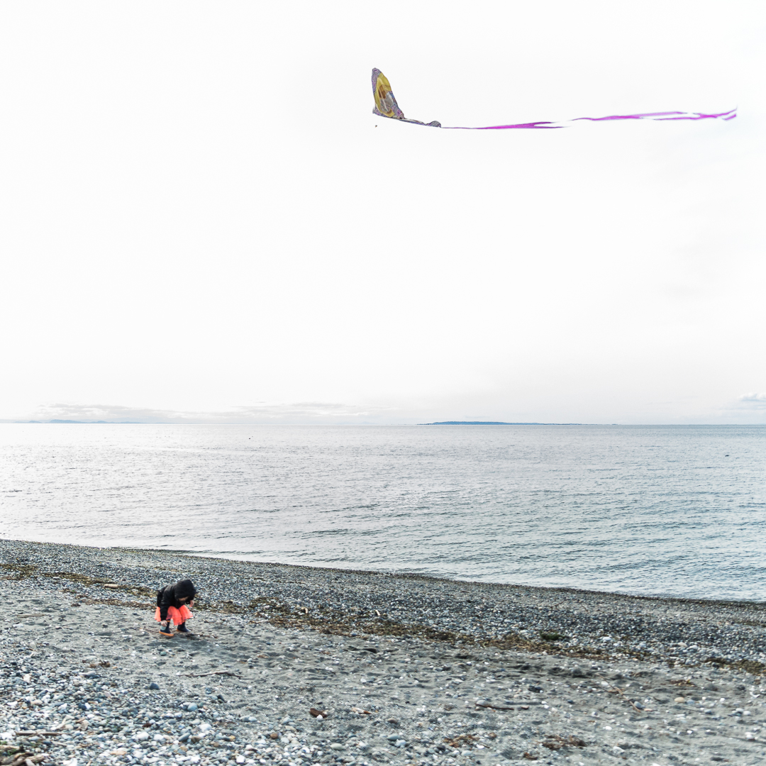 shipandscruffy24X1A3266