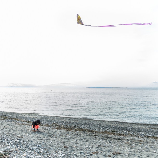 shipandscruffy24X1A3266