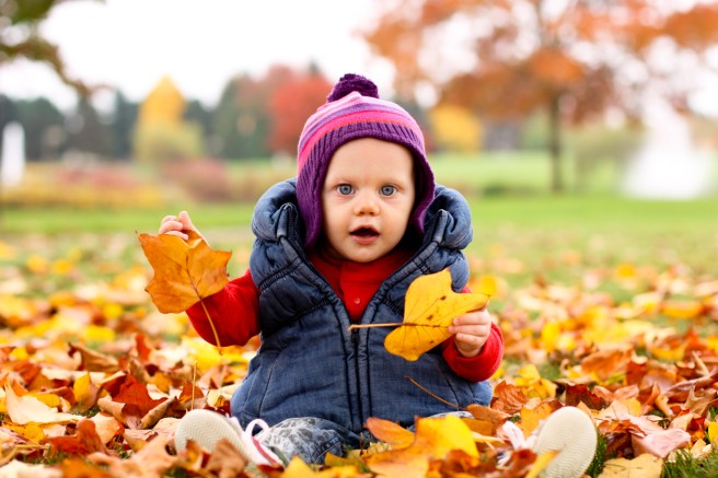 Shipley Fall Leaves 2013 (1 of 1)