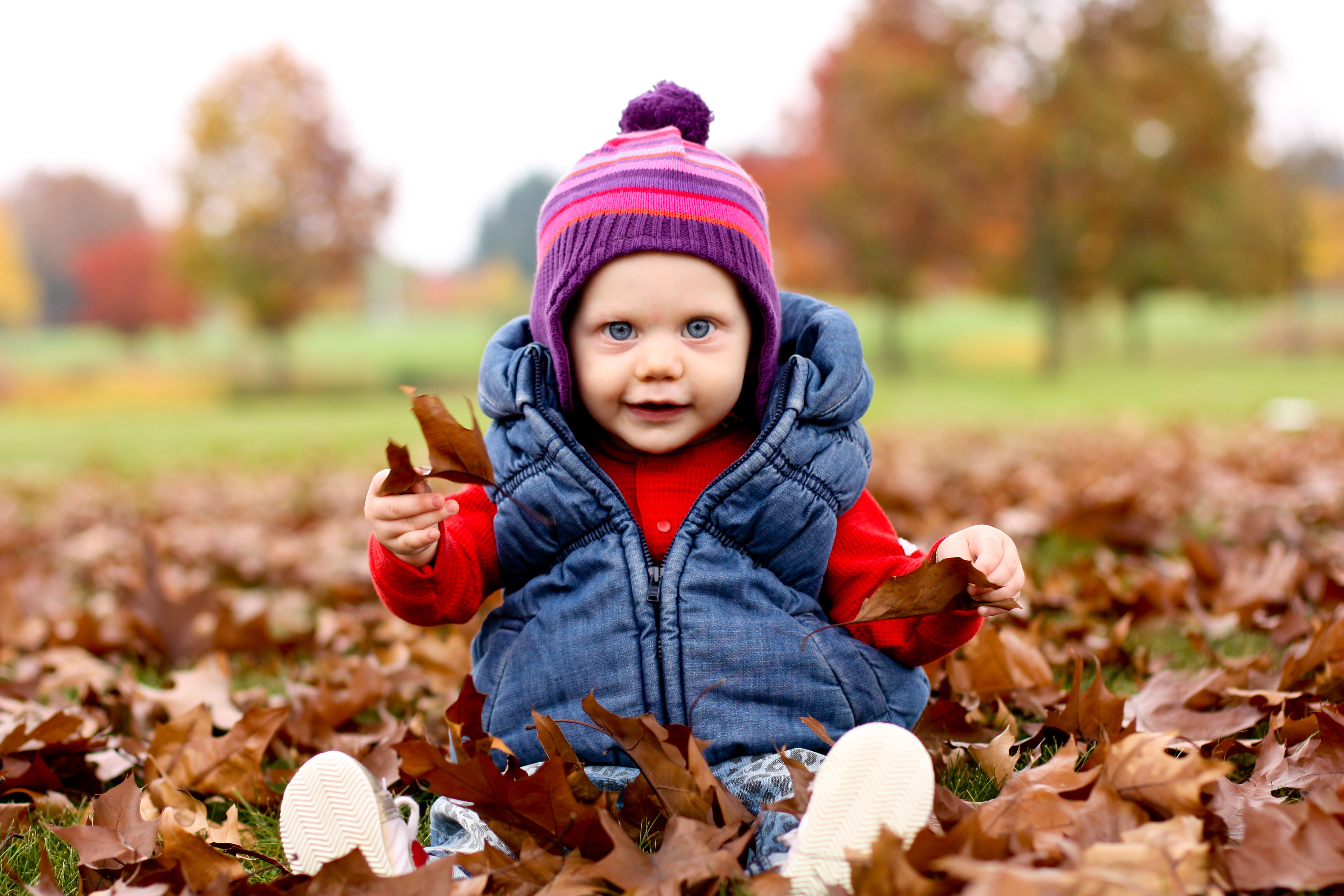 Shipley Fall Leaves 2013 (2 of 12)