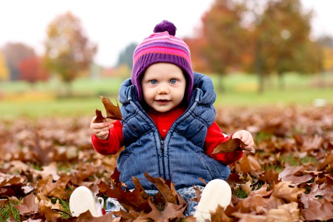 Shipley Fall Leaves 2013 (2 of 12)