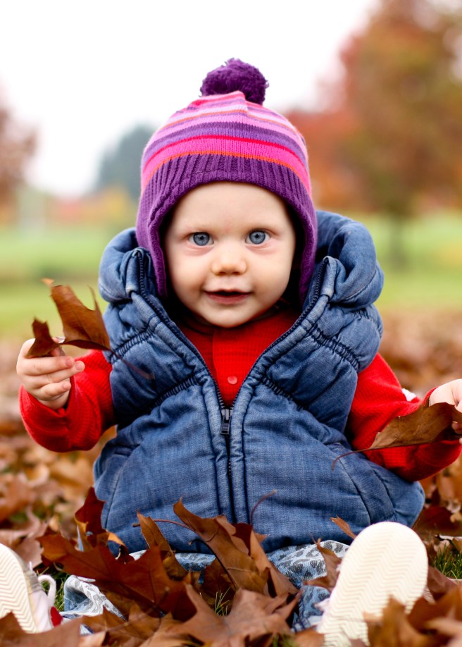 Shipley Fall Leaves 2013 (2 of 12)5x7