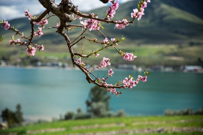 maidenvoyage4X1A4165