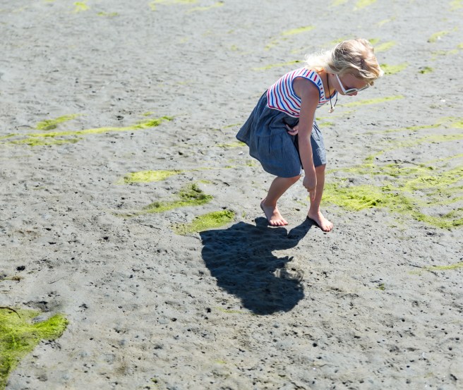 4thofjulybeachday4X1A8380