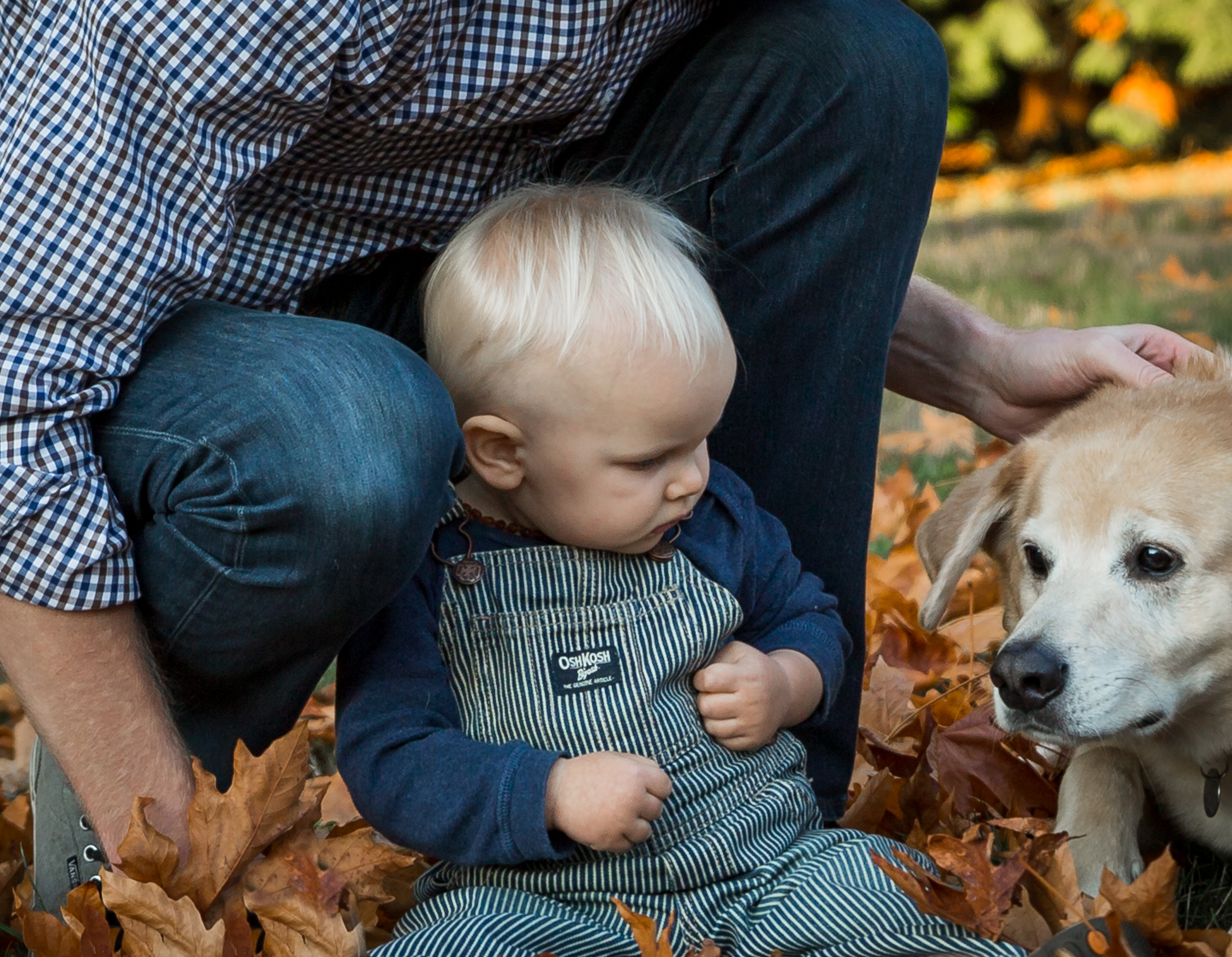 JohnsonFamily4X1A6597