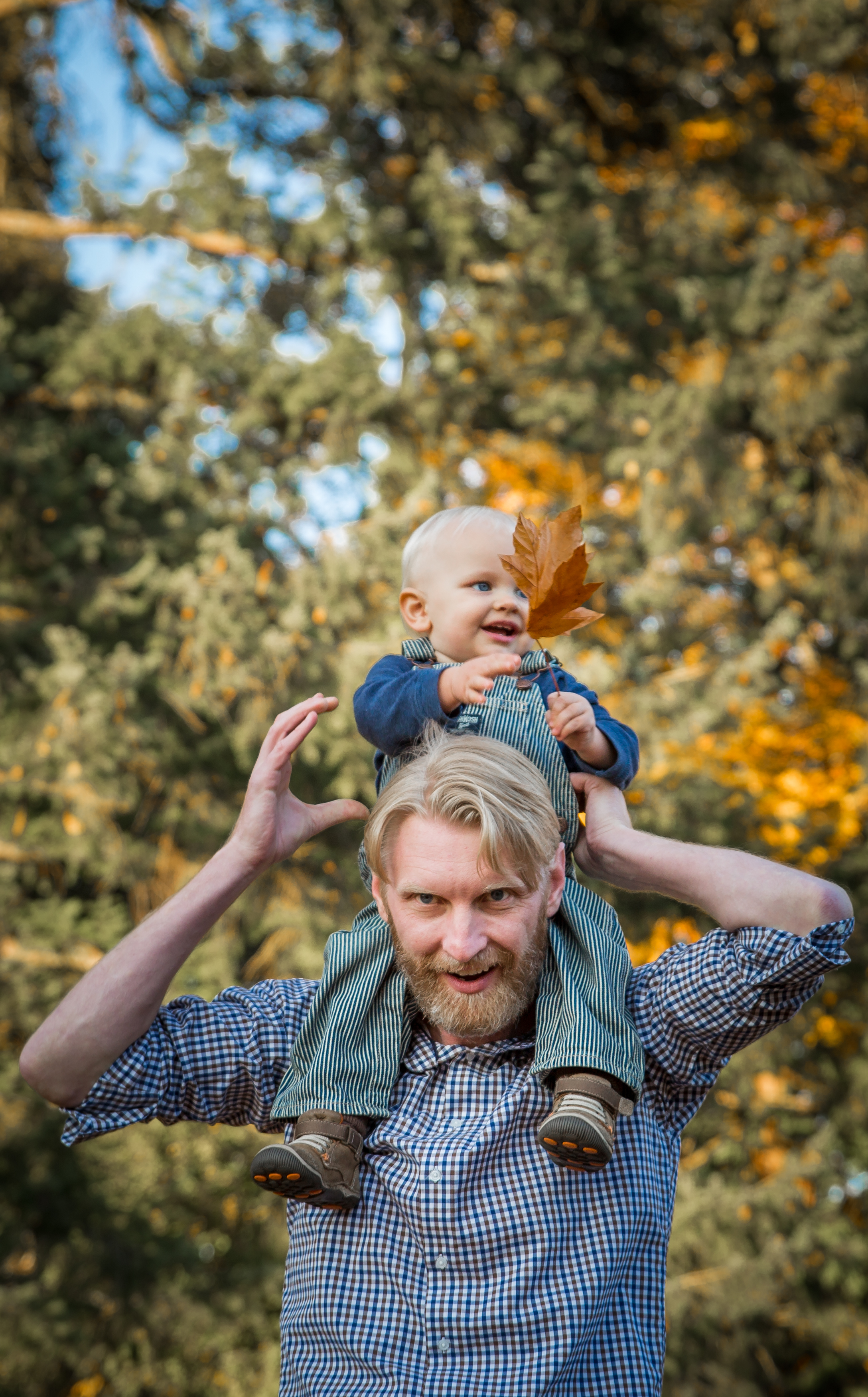 JohnsonFamily4X1A6645