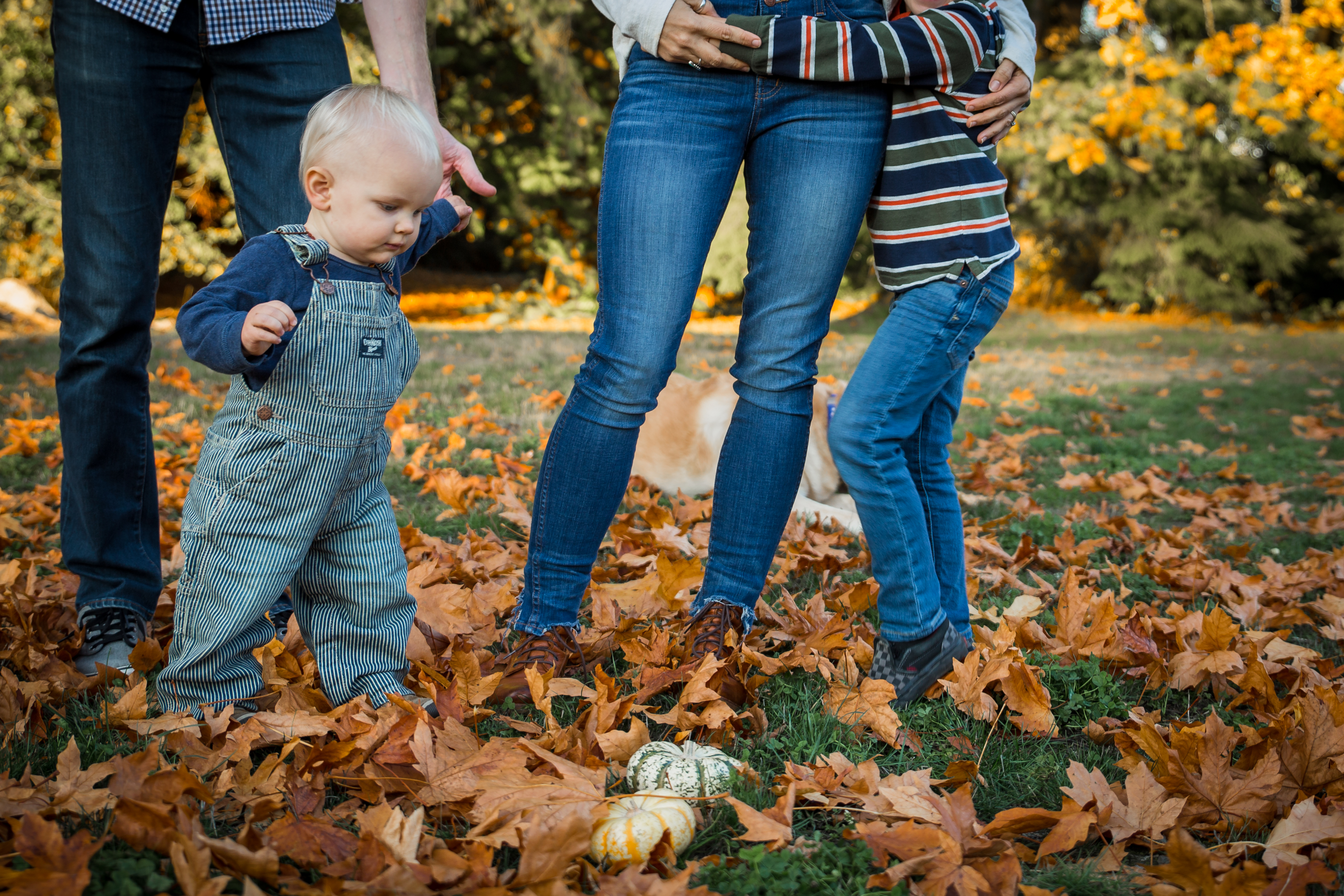 JohnsonFamily4X1A6689
