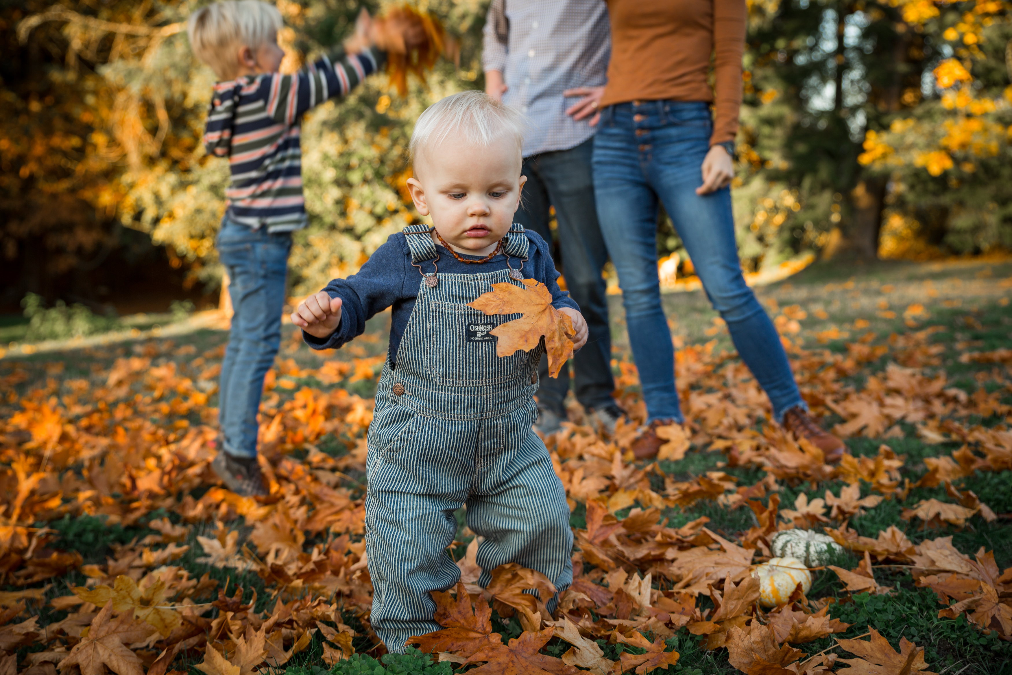 JohnsonFamily4X1A6713