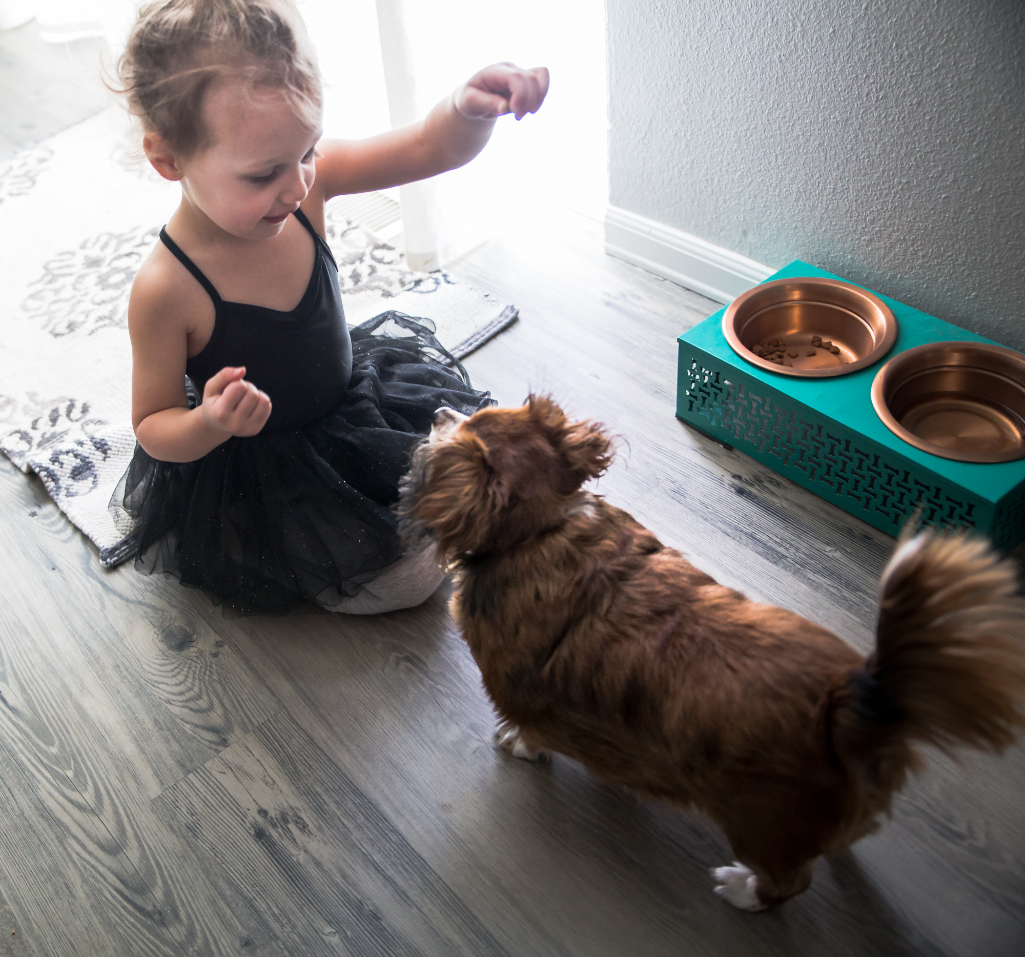 sailorandnellie4X1A0927-2