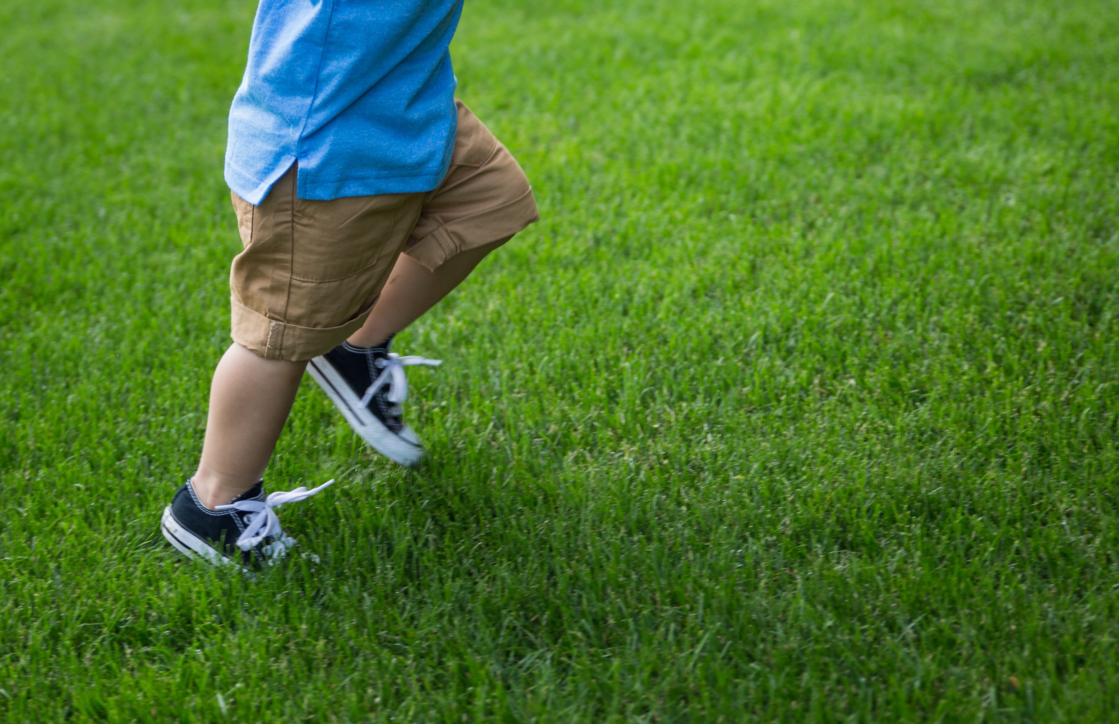 brandimaternity20184X1A4800