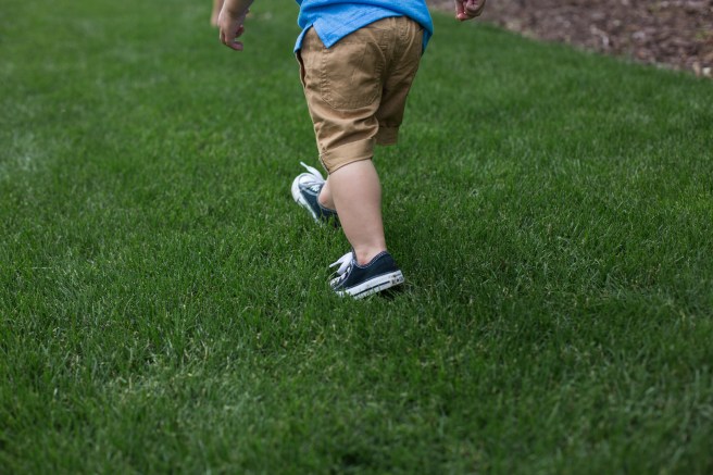 brandimaternity20184X1A5002