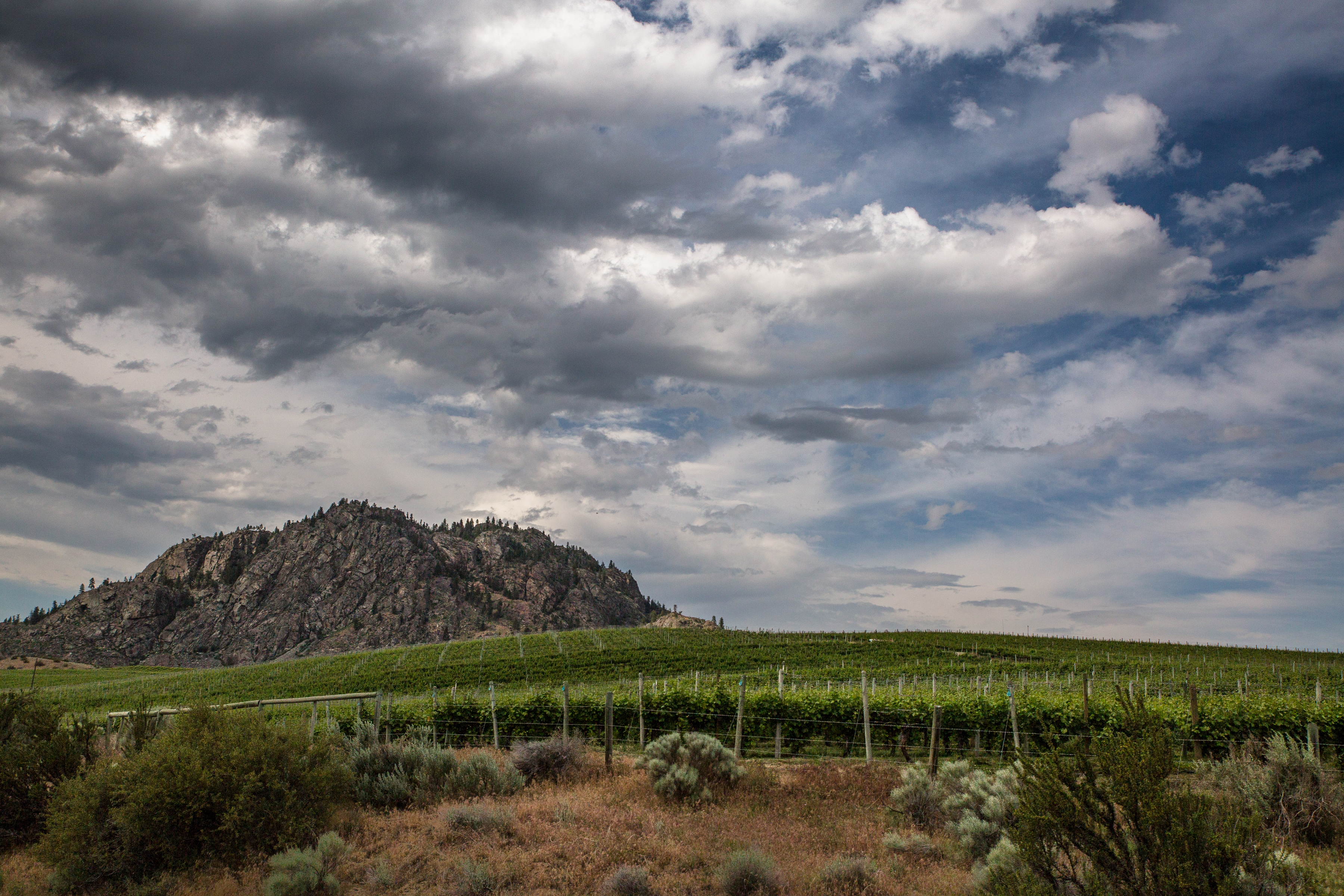 osoyoos20184X1A4327-2