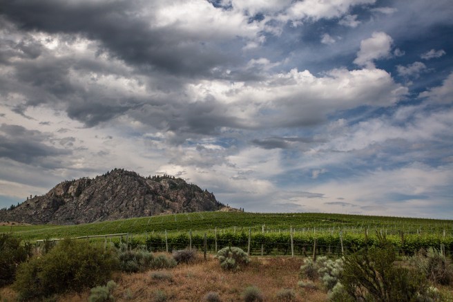 osoyoos20184X1A4327-2