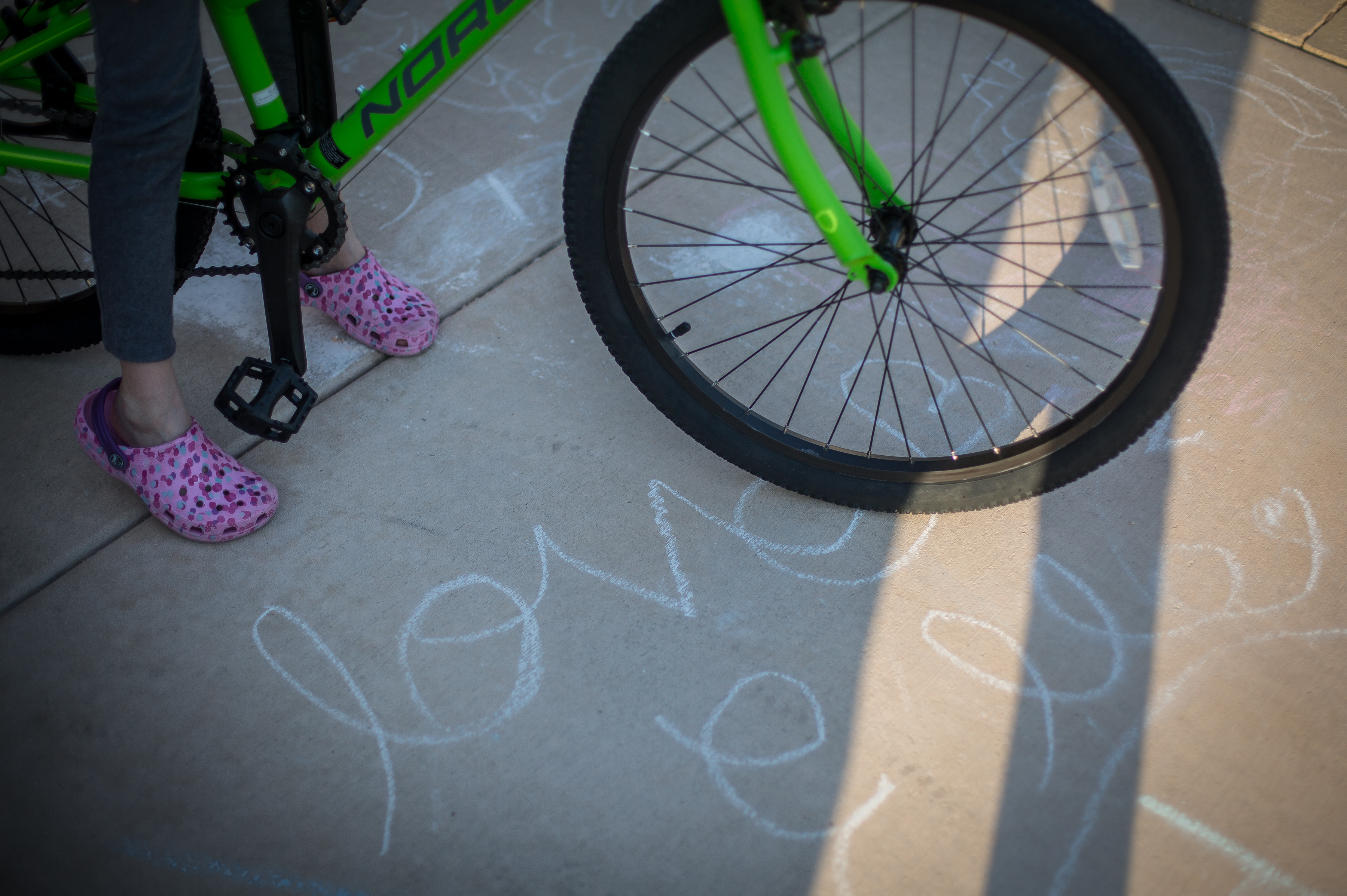 summerevening4X1A1206