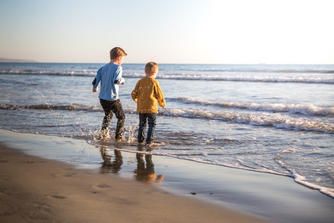 WILCOXFAM20184X1A5100