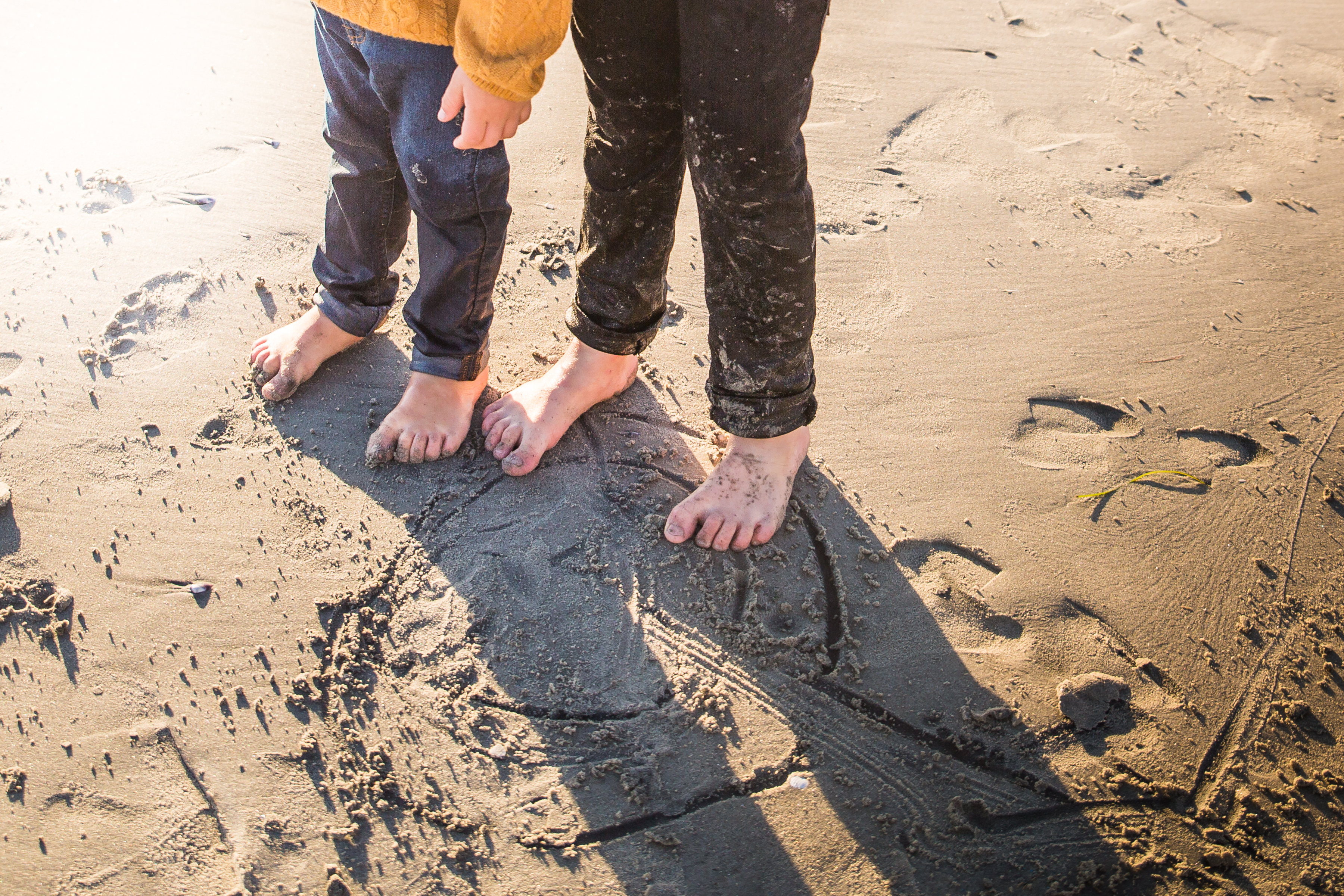 WILCOXFAM20184X1A5133