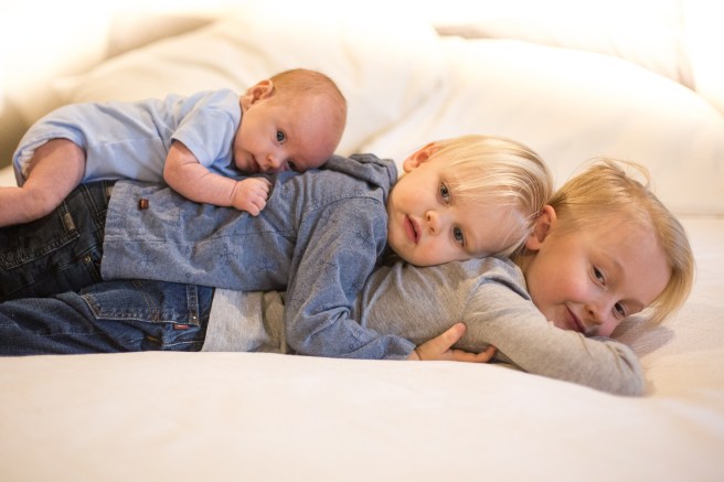 JOHNSONS20184X1A6601