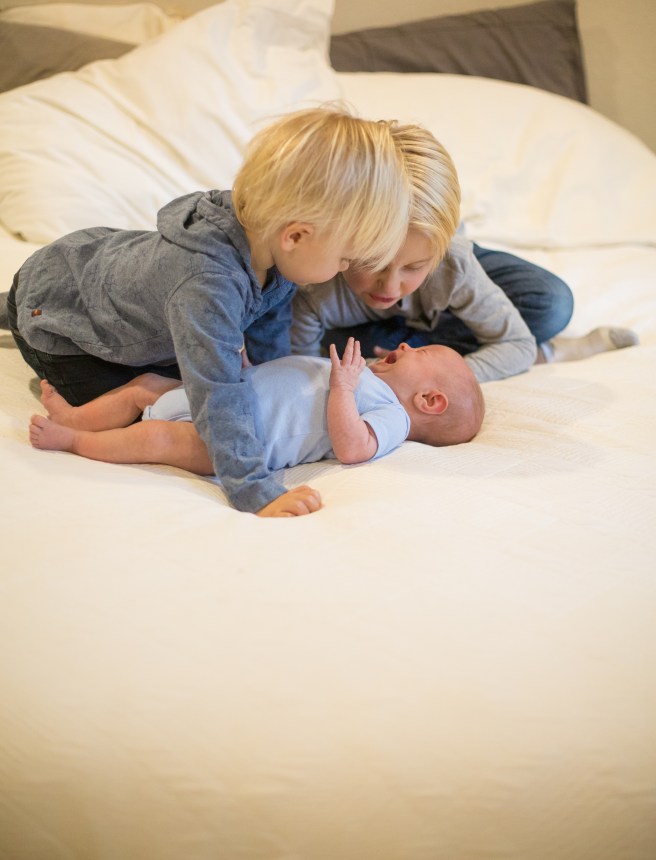 JOHNSONS20184X1A6640