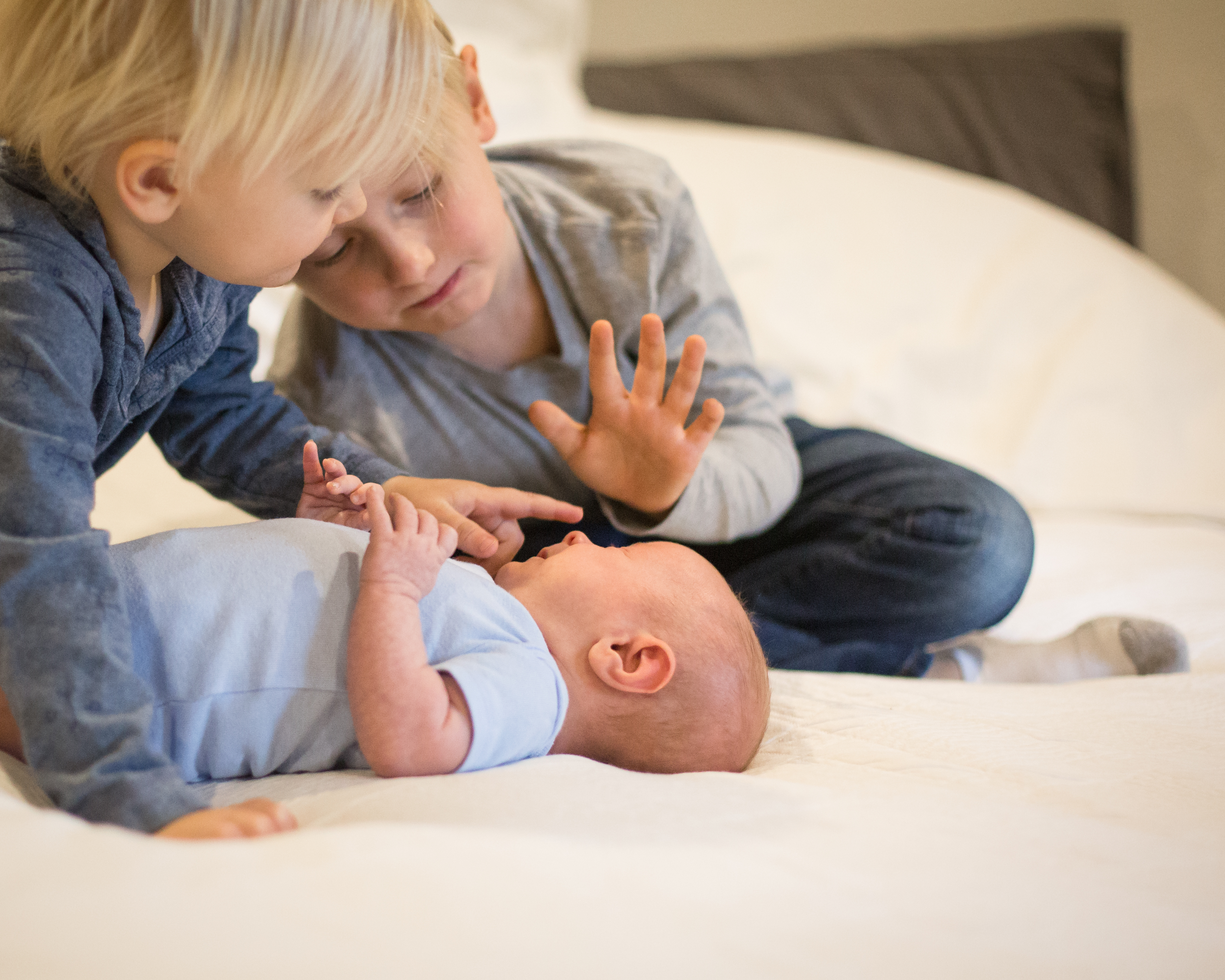 JOHNSONS20184X1A6643