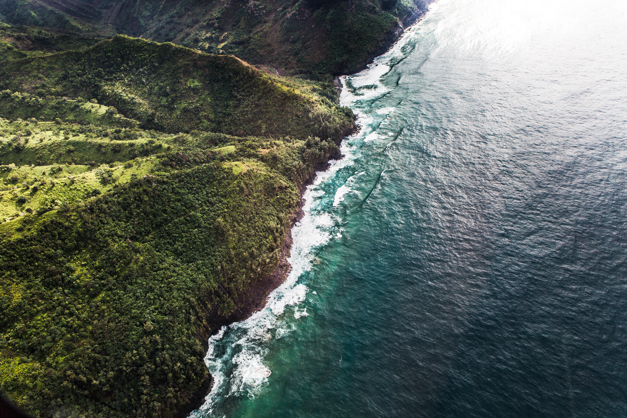 bluehawaiinheli4X1A7988