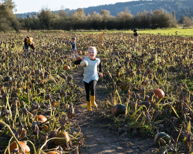 pumpkinfarm4X1A6613