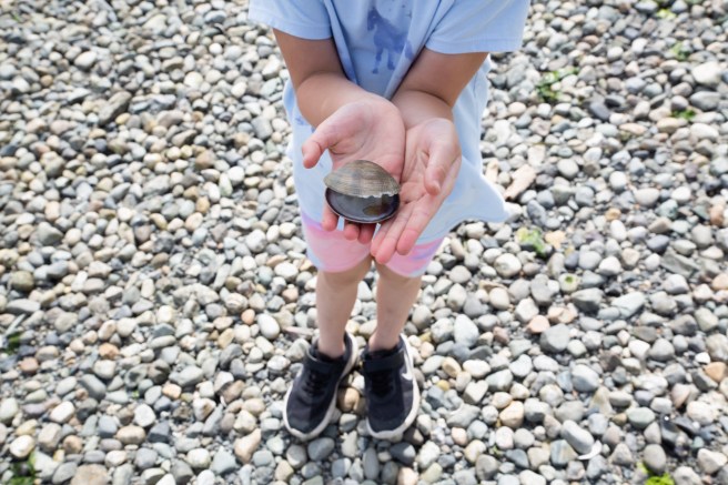 beach4X1A4519 - Copy