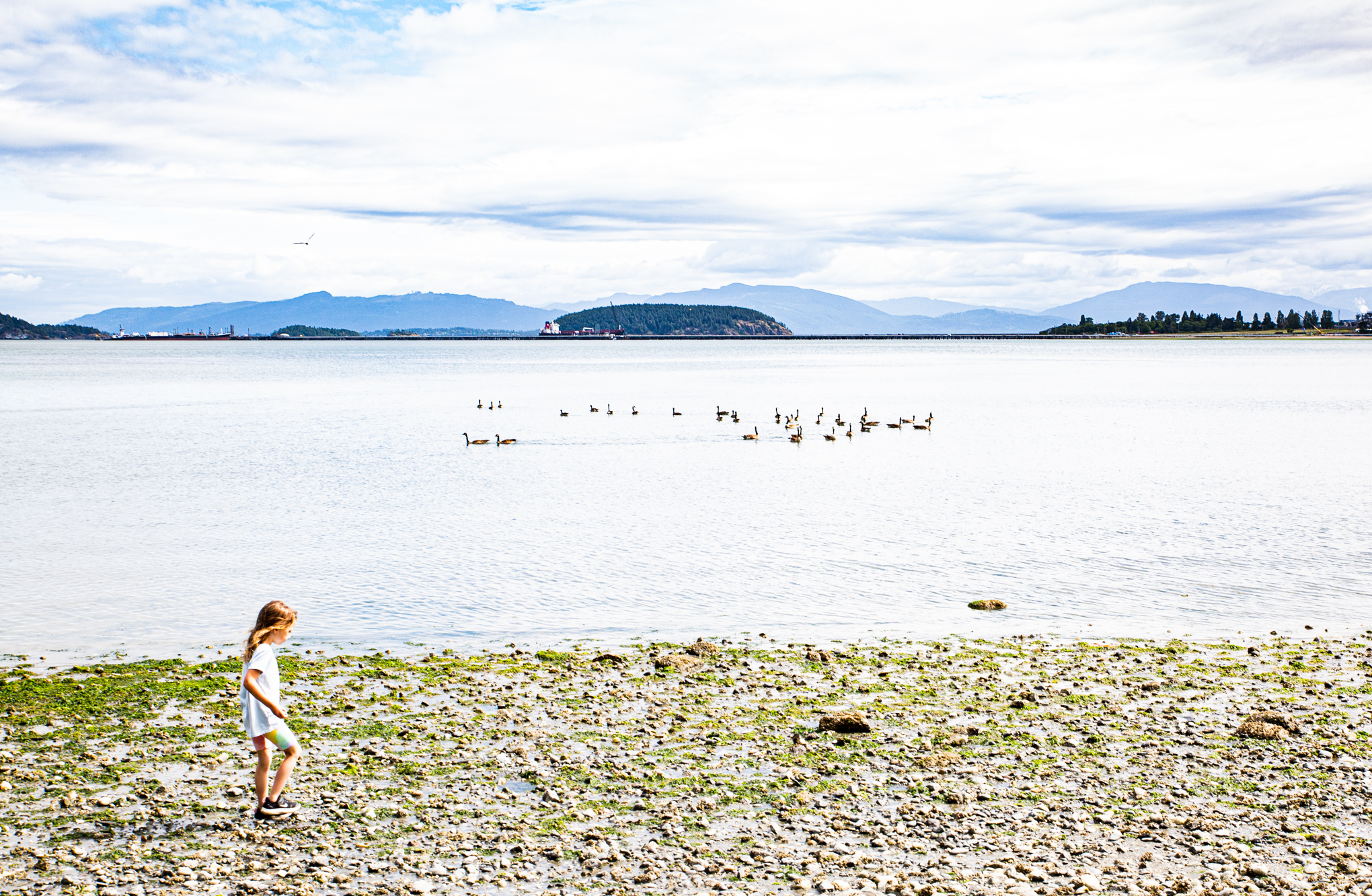 sailor4X1A4609 - Copy