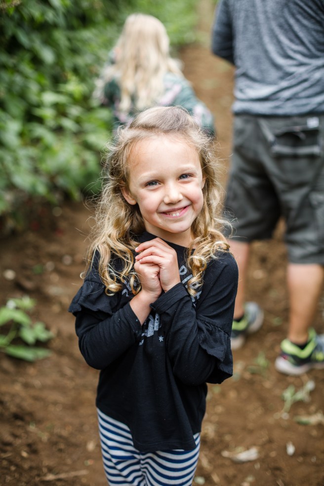 raspberrypicking-6196