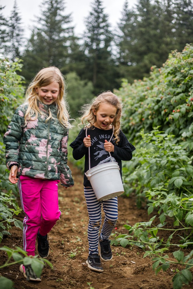 raspberrypicking-6315-2