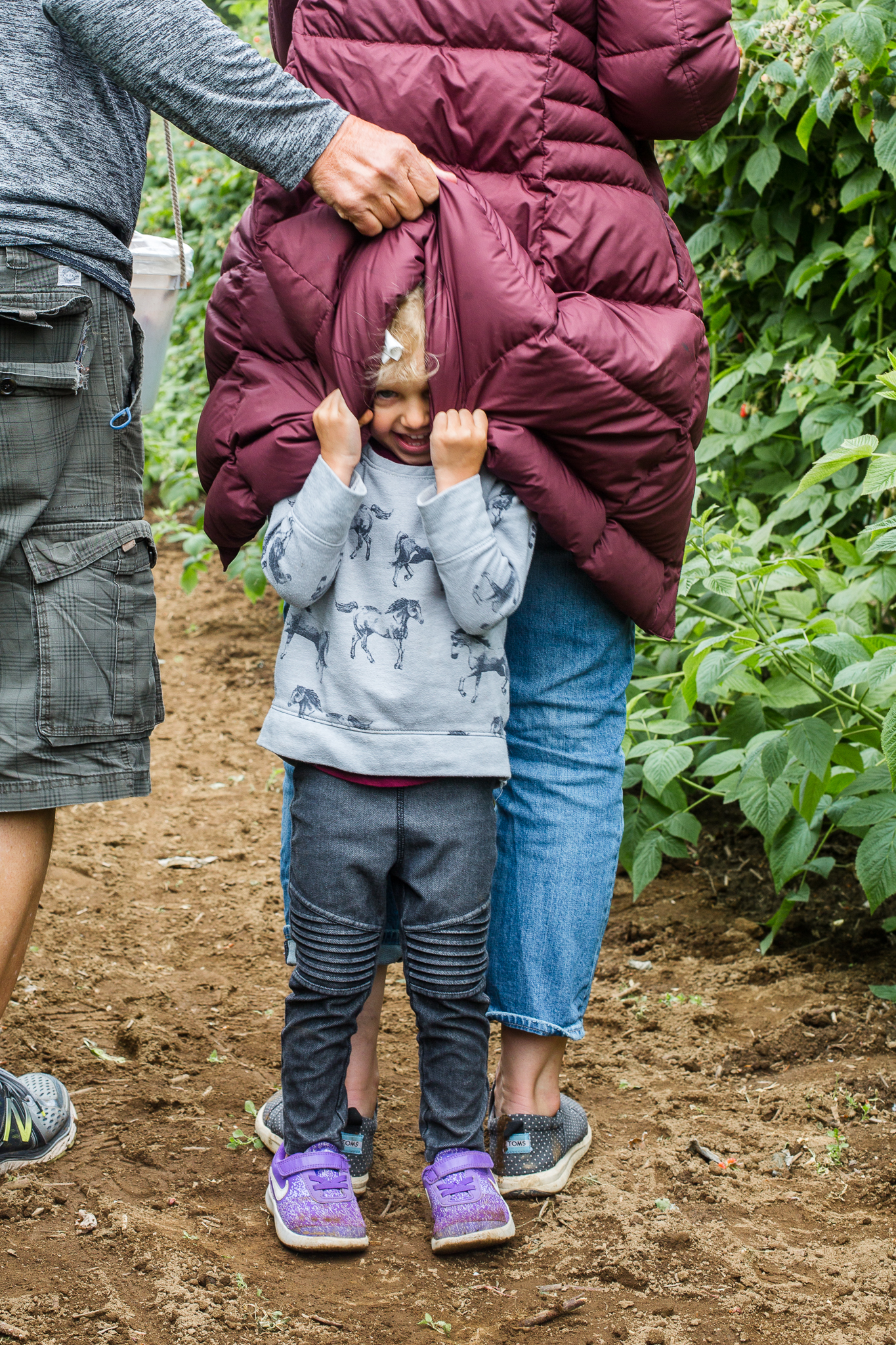 raspberrypicking-6381