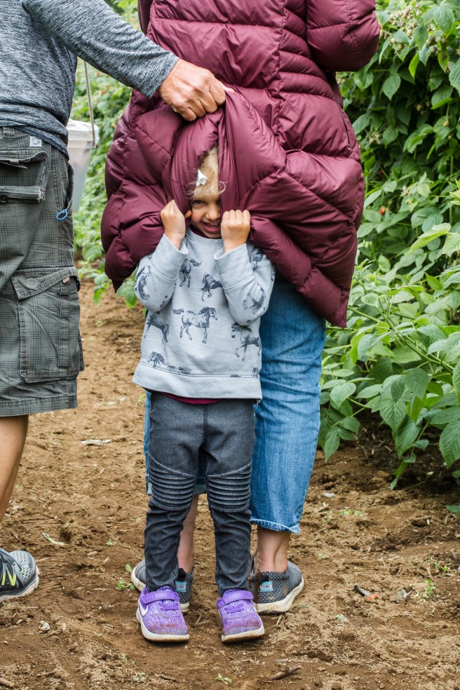 raspberrypicking-6381